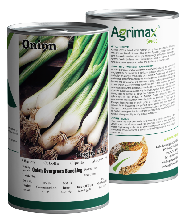 Agrimax Onion Evergreen Bunching Seeds (50g) - Premium Scallion Variety for Year-Round Crisp Harvests