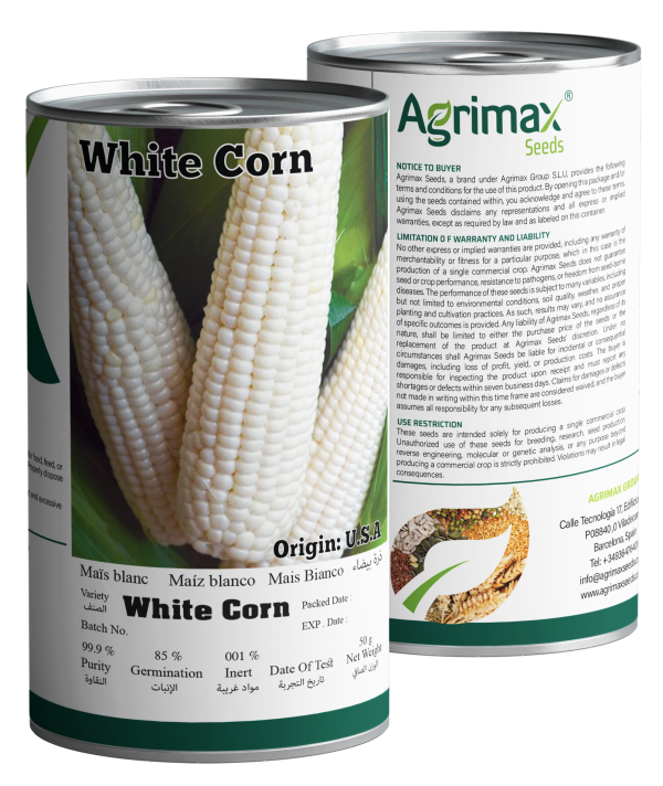 Agrimax White Corn Seeds (50g) - Premium High-Yield Variety for Sweet & Uniform Ears