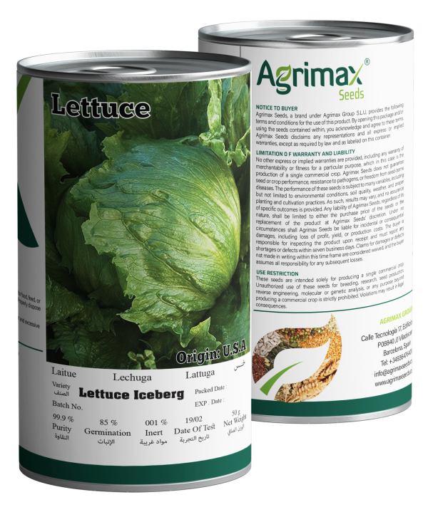Agrimax Lettuce Iceberg Seeds (50g) - Premium Crisphead Variety for Solid & Refreshing Hearts