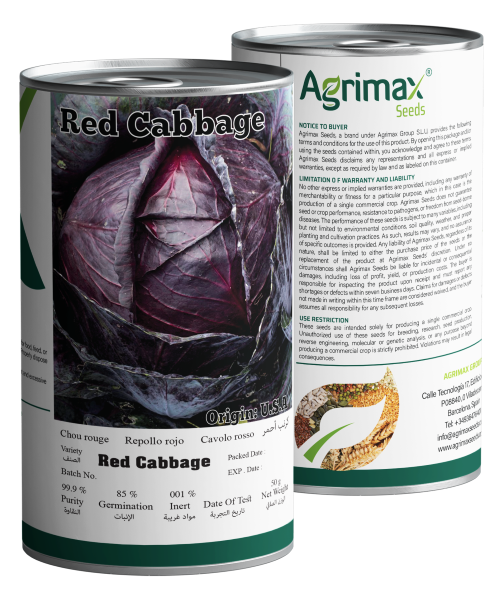 Agrimax Red Cabbage Seeds (50g) - Premium High-Yield Variety for Dense & Deep Purple Heads
