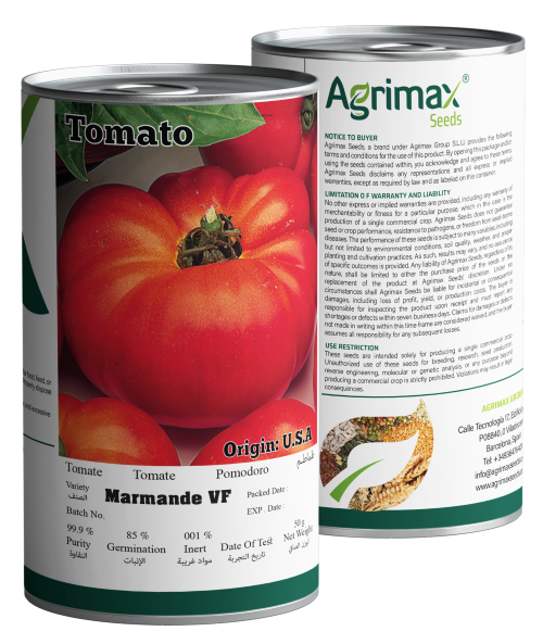 Agrimax Tomato Marmande VF Seeds (50g) - Premium Heirloom Variety for Large Ribbed Beefsteak Fruits