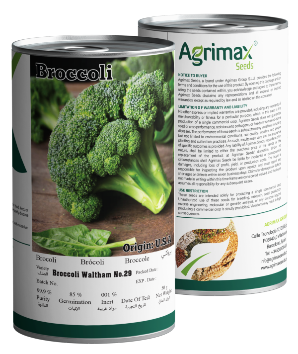 Agrimax Broccoli Waltham No.29 Seeds (50g) - Premium Cold-Tolerant Variety for Large & Compact Heads