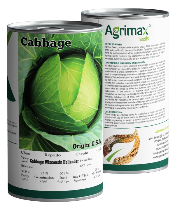 Agrimax Cabbage Wisconsin Hollander Seeds (50g) - Premium High-Yield Variety for Late-Season Storage & Superior Texture