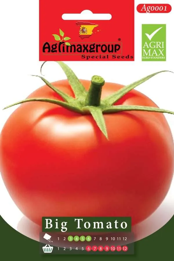 Agrimaxgroup Big Tomato Special Seeds (AG0001) - Premium Spanish Variety