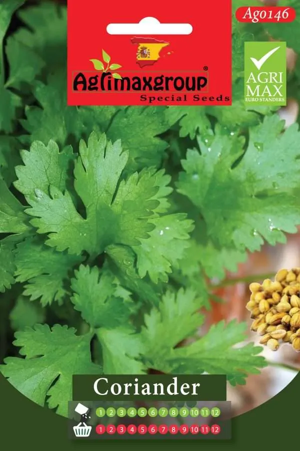 Agrimaxgroup Coriander Special Seeds (AG0146) - Premium Spanish Variety