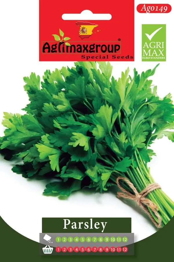 Agrimaxgroup Premium Parsley Seeds (AG0149) – High-Yield Spanish Flat Leaf Herb Seeds for Indoor and Outdoor Home Gardening, 1-12 Month Year-Round Sowing & Harvest, Non-GMO Euro Standard