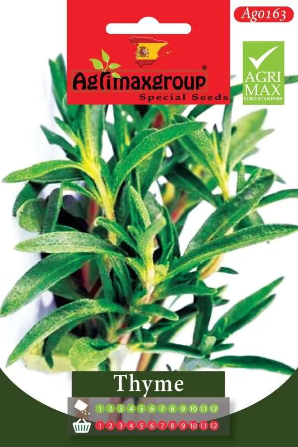 Agrimaxgroup Premium Thyme Seeds (AG0163) – Aromatic Spanish Perennial Herb Seeds for Indoor and Outdoor Home Gardening, 1-12 Month Year-Round Sowing & Harvest, Non-GMO Euro Standard