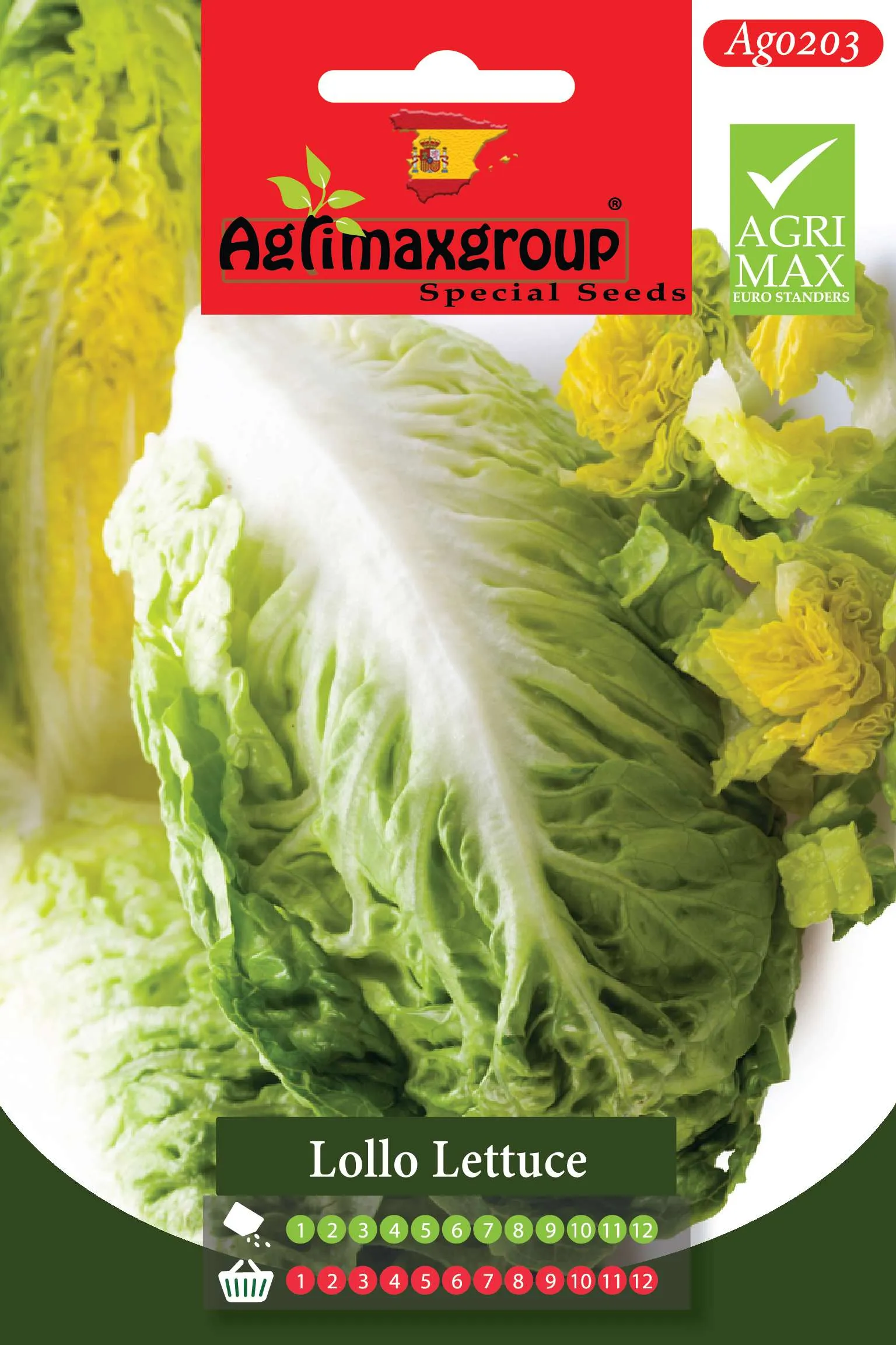 Agrimaxgroup Premium Lollo Lettuce Seeds (AG0203) – Crisp Spanish Loose-Leaf Lettuce Seeds for Indoor and Outdoor Home Gardening, 1-12 Month Year-Round Sowing & Harvest, Non-GMO Euro Standard