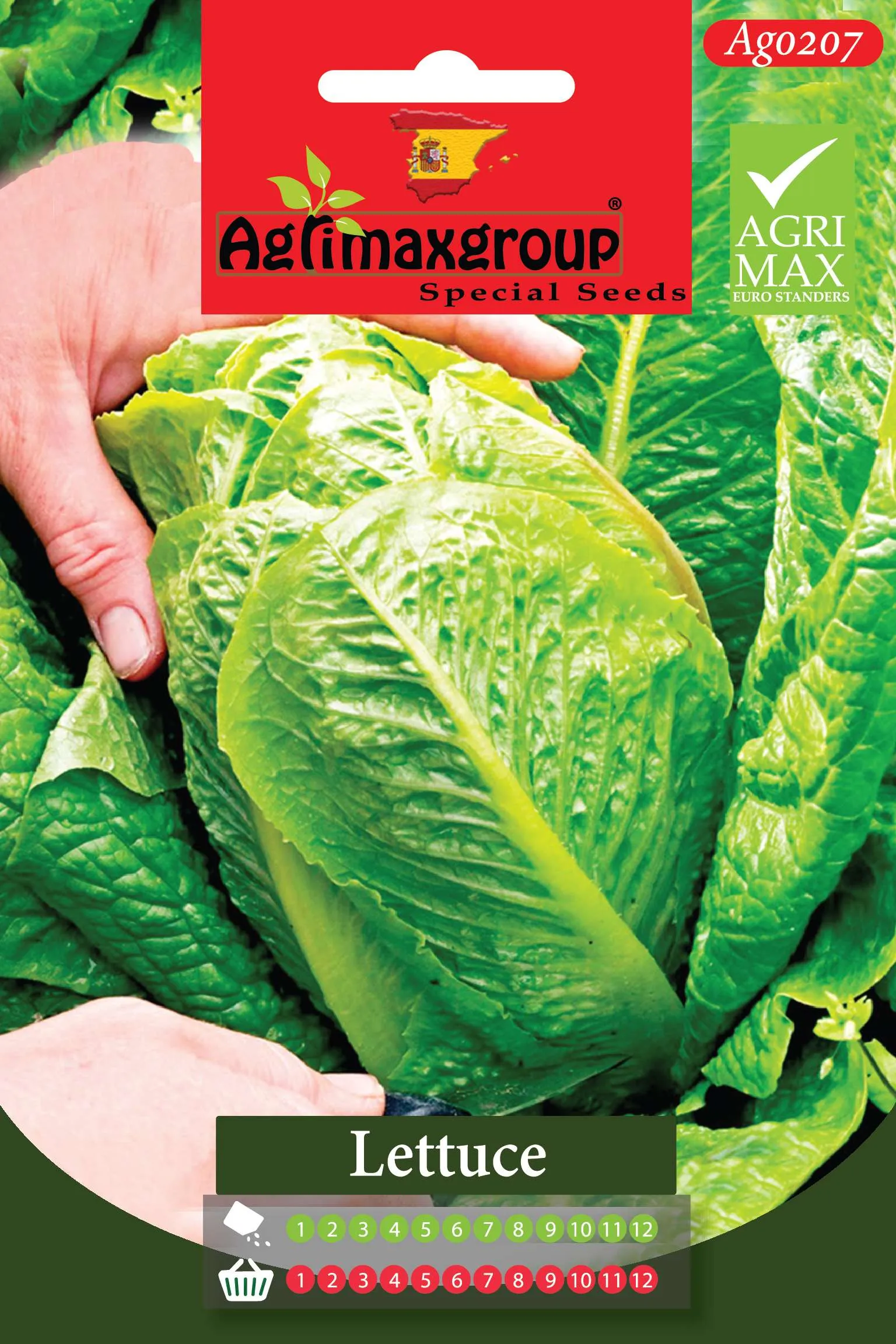 Agrimaxgroup Premium Romaine Lettuce Seeds (AG0207) – Crisp Spanish Cos Lettuce Seeds for Indoor and Outdoor Home Gardening, 1-12 Month Year-Round Sowing & Harvest, Non-GMO Euro Standard