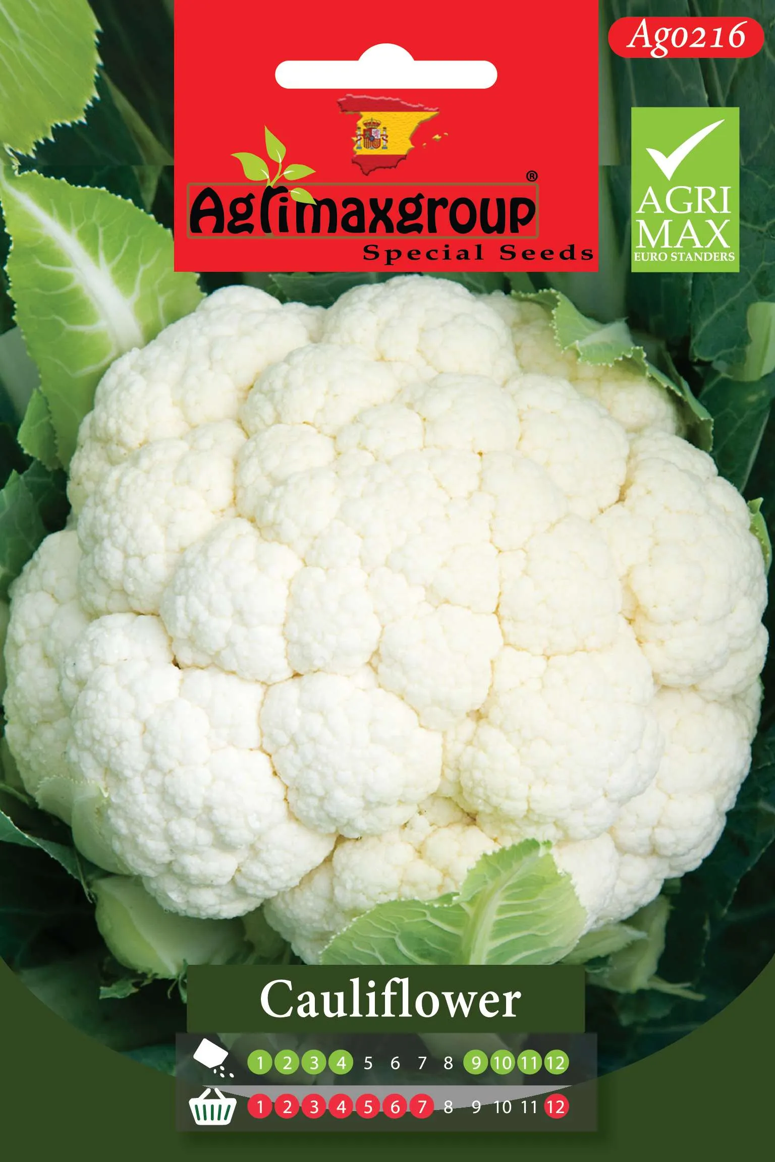 Agrimaxgroup Premium Cauliflower Seeds (AG0216) – High-Yield Spanish White Variety for Indoor and Outdoor Home Gardening, Seasonal Sowing & Harvest, Non-GMO Euro Standard