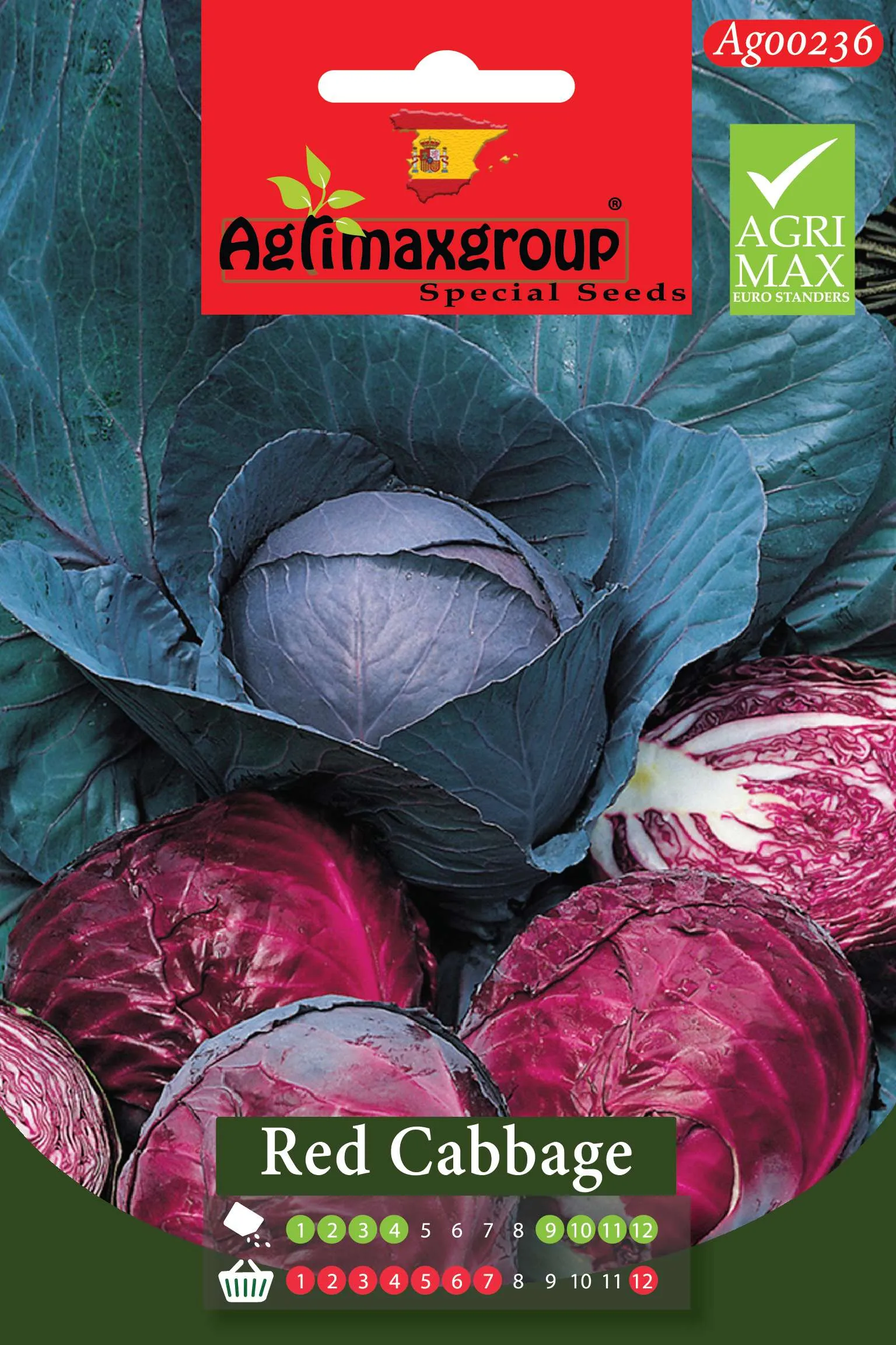 Agrimaxgroup Premium Red Cabbage Seeds (AG0236) – High-Yield Spanish Vibrant Purple Variety for Indoor and Outdoor Home Gardening, Seasonal Sowing & Harvest, Non-GMO Euro Standard