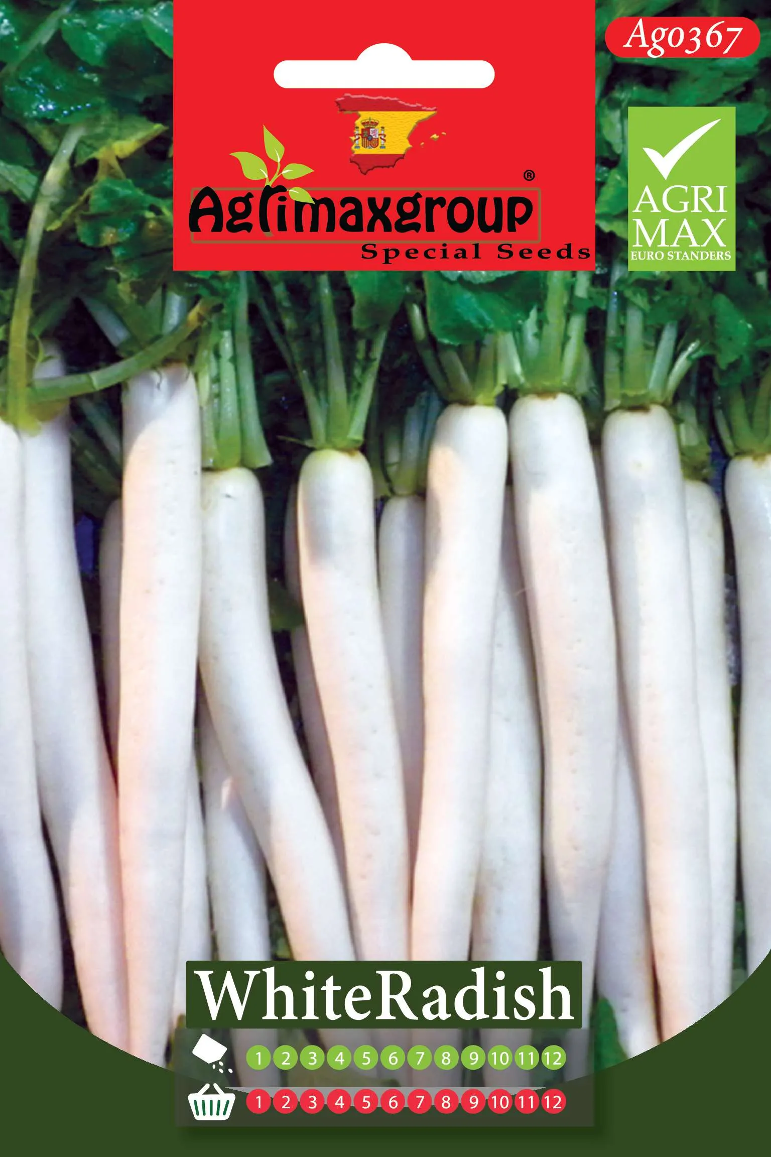 Agrimaxgroup Premium White Radish Seeds (AG0367) – High-Yield Long Spanish Daikon Variety for Indoor and Outdoor Home Gardening, 1-12 Month Year-Round Sowing & Harvest, Non-GMO Euro Standard