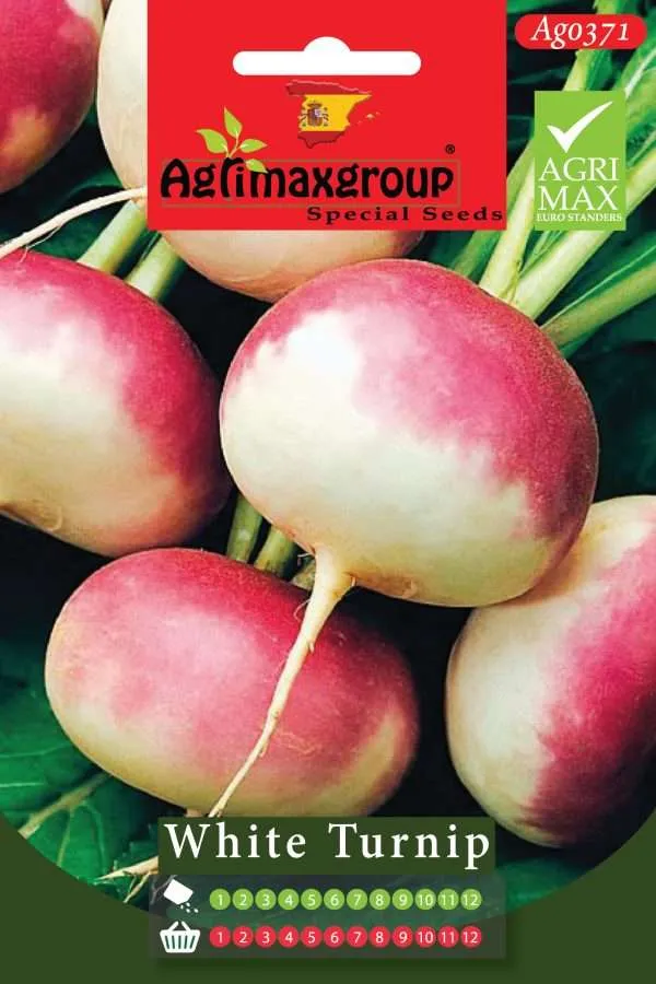 Agrimaxgroup Premium White Turnip Seeds (AG0371) – Fast-Growing Spanish Purple Top Variety for Indoor and Outdoor Home Gardening, 1-12 Month Year-Round Sowing & Harvest, Non-GMO Euro Standard
