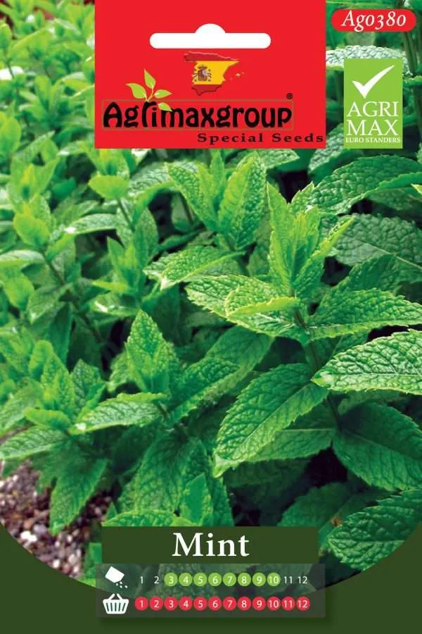 Product Name (English): Agrimaxgroup Premium Mint Seeds (AG0380) – High-Aroma Spanish Peppermint Seeds for Indoor and Outdoor Home Gardening, 1-12 Month Year-Round Sowing & Harvest, Non-GMO Euro Standard