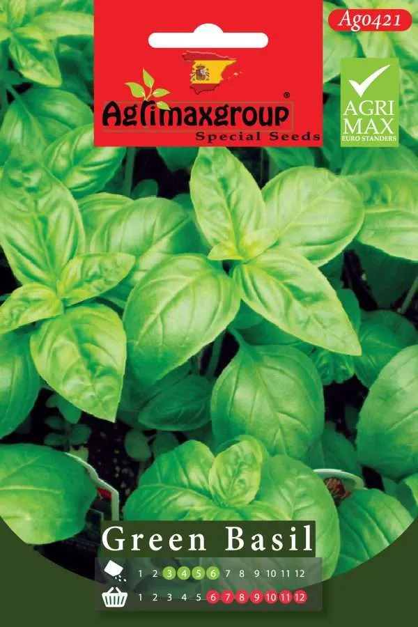 Agrimaxgroup Premium Green Basil Seeds (AG0421) – Aromatic Spanish Sweet Basil Seeds for Indoor and Outdoor Home Gardening, Non-GMO Euro Standard, Year-Round Harvest