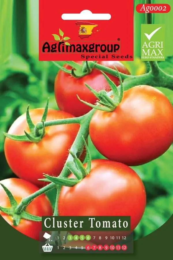 Agrimaxgroup Premium Cluster Tomato Seeds (AG0002) – High-Yield Spanish Vine Tomato Variety for Indoor and Outdoor Home Gardening, Seasonal Sowing & Harvest, Non-GMO Euro Standard