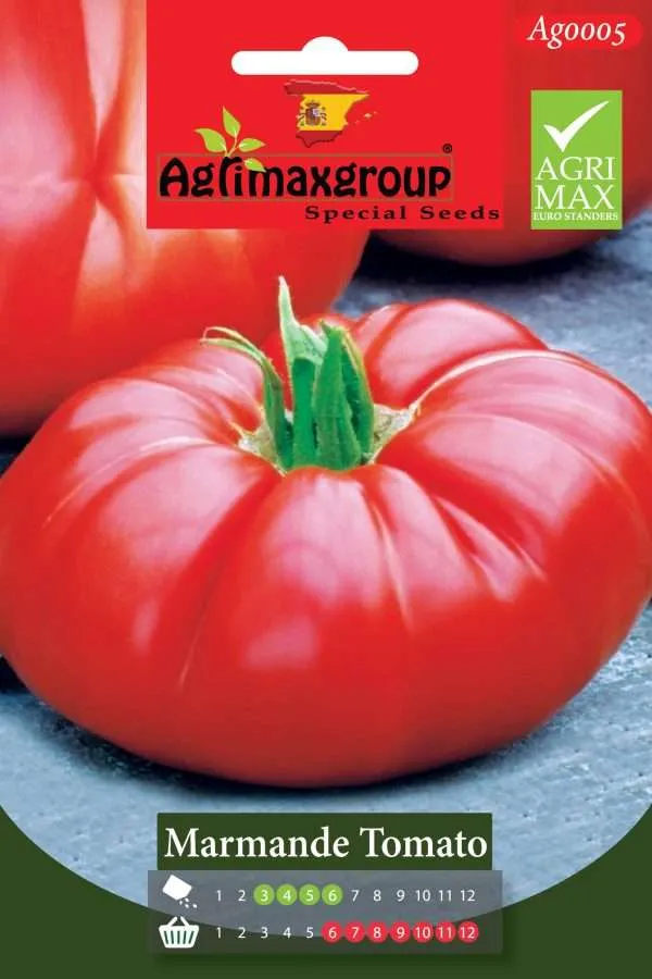 Agrimaxgroup Premium Marmande Tomato Seeds (AG0005) – High-Yield Spanish Beefsteak Variety for Indoor and Outdoor Home Gardening, Seasonal Sowing & Harvest, Non-GMO Euro Standard