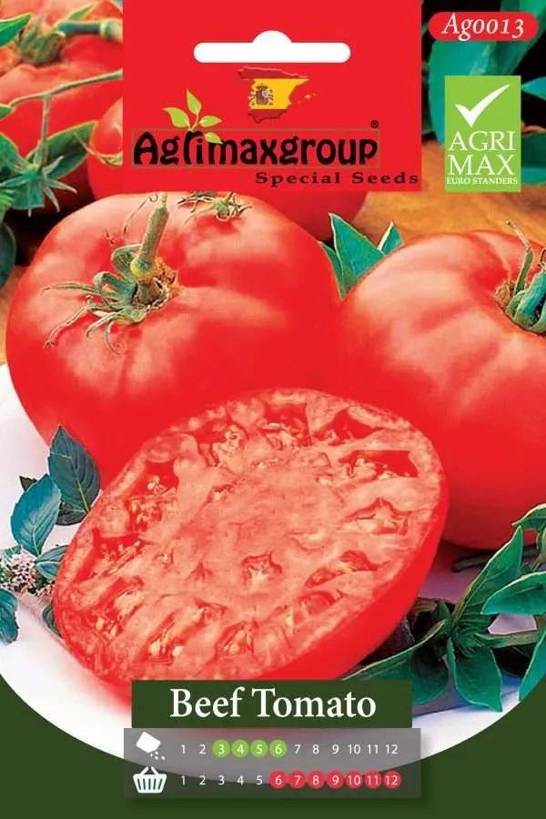 Agrimaxgroup Premium Beef Tomato Seeds (AG0013) – High-Yield Spanish Beefsteak Variety for Indoor and Outdoor Home Gardening, Seasonal Sowing & Harvest, Non-GMO Euro Standard
