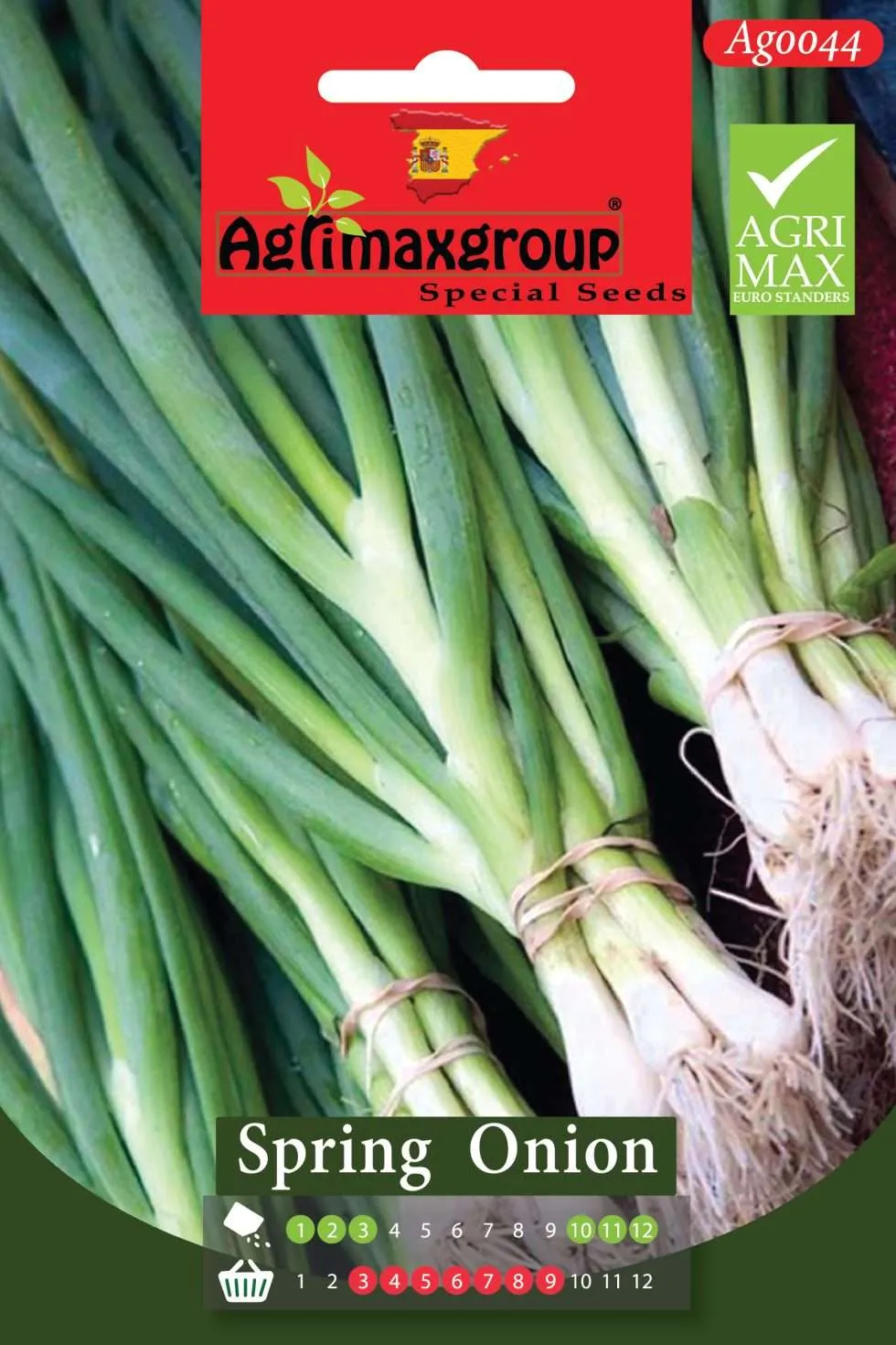 Agrimaxgroup Premium Spring Onion Seeds (AG0044) – Fast-Growing Spanish Scallion Variety for Indoor and Outdoor Home Gardening, Seasonal Sowing & Harvest, Non-GMO Euro Standard