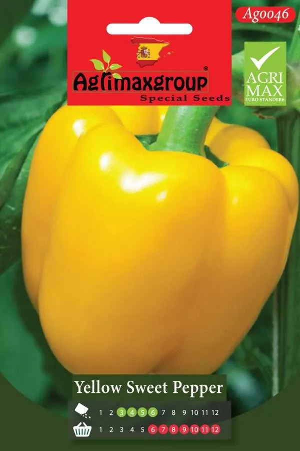 Agrimaxgroup Premium Yellow Sweet Pepper Seeds (AG0046) – High-Yield Spanish Yellow Bell Pepper Variety for Indoor and Outdoor Home Gardening, Seasonal Sowing & Harvest, Non-GMO Euro Standard