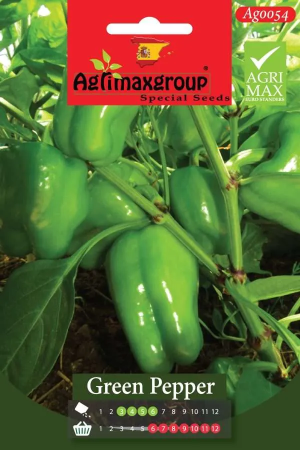 Agrimaxgroup Premium Green Pepper Seeds (AG0054) – High-Yield Spanish Bell Pepper Variety for Indoor and Outdoor Home Gardening, Seasonal Sowing & Harvest, Non-GMO Euro Standard