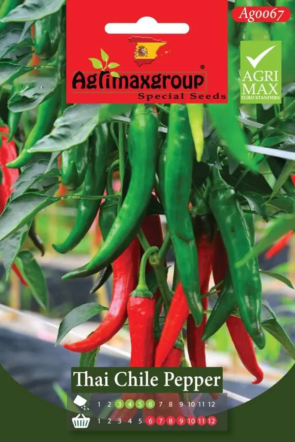 Agrimaxgroup Premium Thai Chile Pepper Seeds (AG0067) – High-Yield Spanish Thai Bird’s Eye Variety for Indoor and Outdoor Home Gardening, Seasonal Sowing & Harvest, Non-GMO Euro Standard