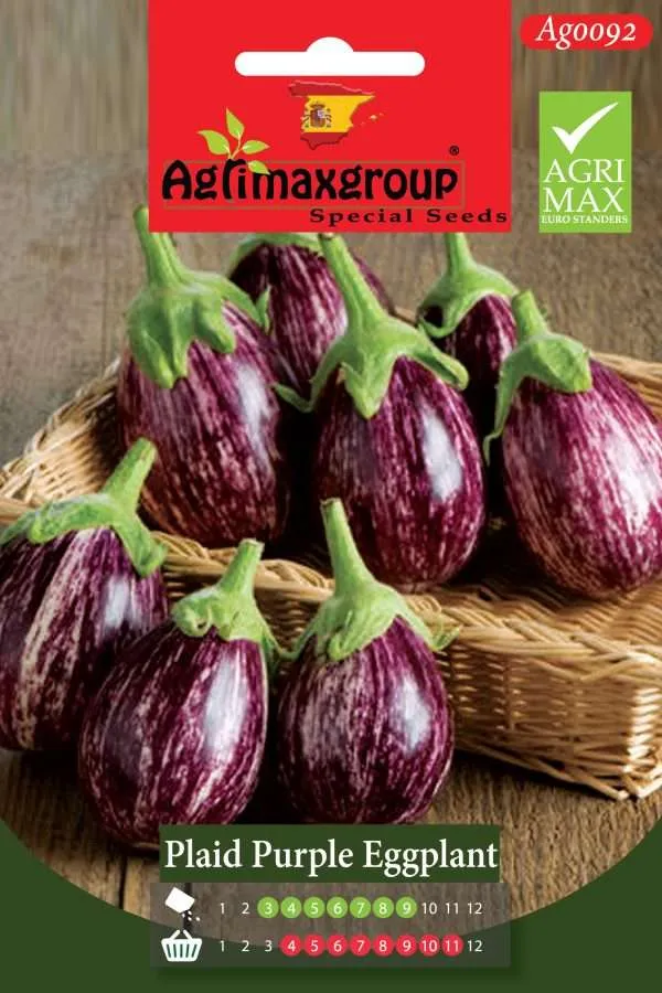 Agrimaxgroup Premium Plaid Purple Eggplant Seeds (AG0092) – High-Yield Spanish Graffiti Variety for Indoor and Outdoor Home Gardening, Seasonal Sowing & Harvest, Non-GMO Euro Standard