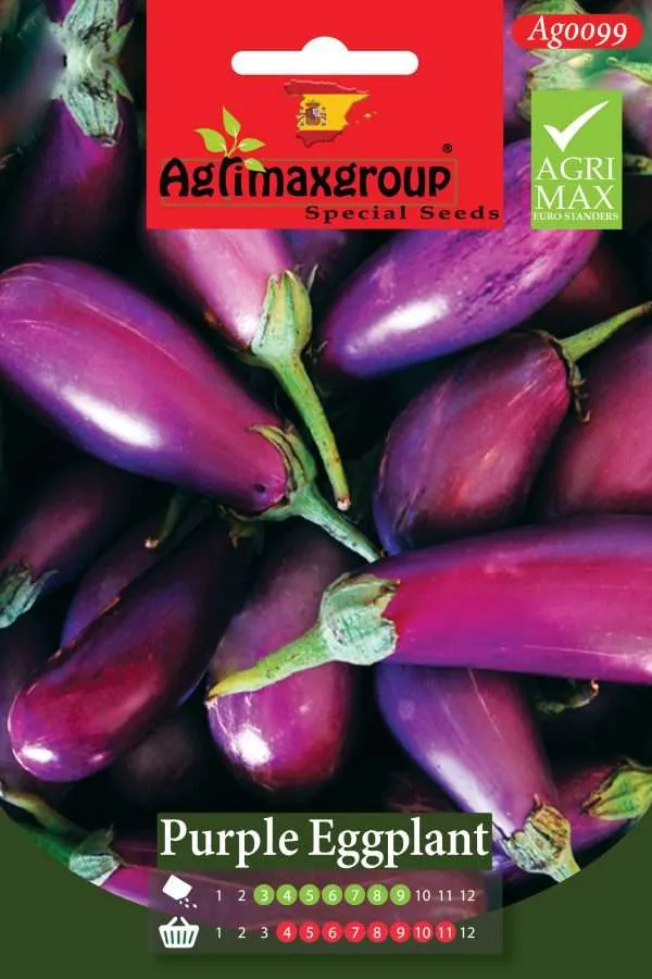 Agrimaxgroup Premium Purple Eggplant Seeds (AG0099) – High-Yield Spanish Long Purple Variety for Indoor and Outdoor Home Gardening, Seasonal Sowing & Harvest, Non-GMO Euro Standard