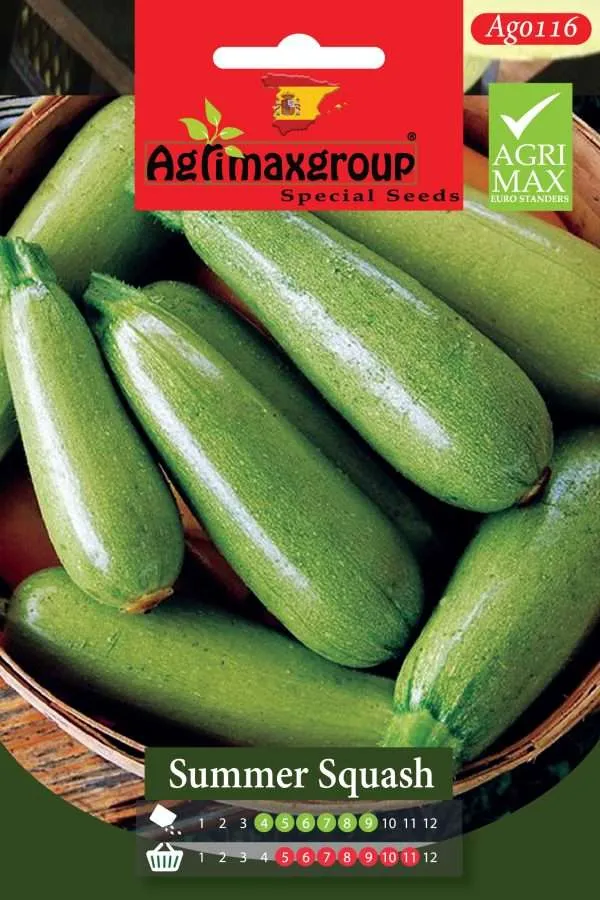 Agrimaxgroup Premium Summer Squash Seeds (AG0116) – High-Yield Spanish Light Green Zucchini Variety for Indoor and Outdoor Home Gardening, Seasonal Sowing & Harvest, Non-GMO Euro Standard