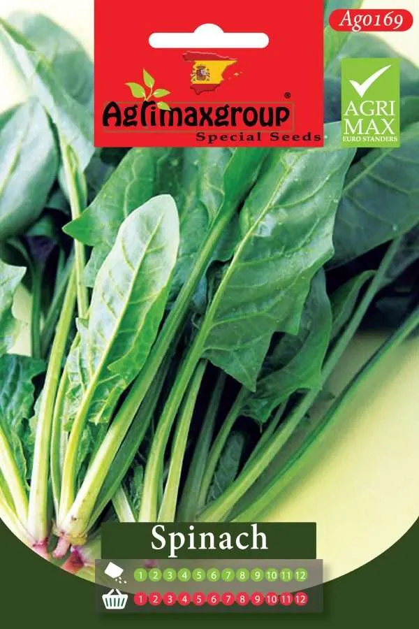 Agrimaxgroup Premium Spinach Seeds (AG0169) – High-Yield Spanish Leafy Green Variety for Indoor and Outdoor Home Gardening, Year-Round Sowing & Harvest, Non-GMO Euro Standard
