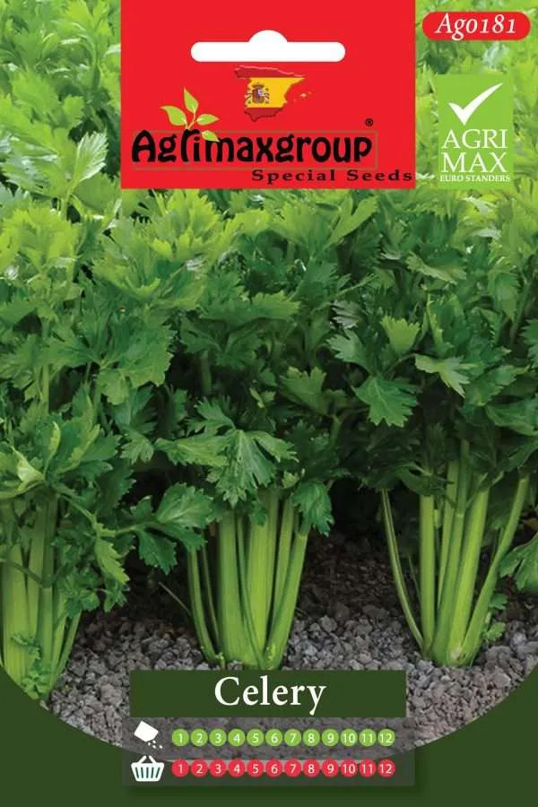 Agrimaxgroup Premium Celery Seeds (AG0181) – High-Yield Spanish Stalk Celery Variety for Indoor and Outdoor Home Gardening, Year-Round Sowing & Harvest, Non-GMO Euro Standard