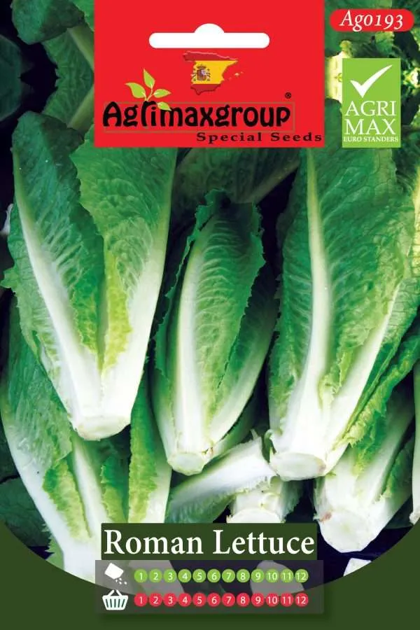 Agrimaxgroup Premium Roman Lettuce Seeds (AG0193) – High-Yield Spanish Romaine Variety for Indoor and Outdoor Home Gardening, Year-Round Sowing & Harvest, Non-GMO Euro Standard