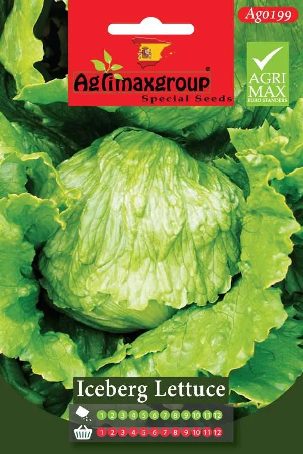 Agrimaxgroup Premium Iceberg Lettuce Seeds (AG0199) – High-Yield Spanish Crisphead Variety for Indoor and Outdoor Home Gardening, Year-Round Sowing & Harvest, Non-GMO Euro Standard