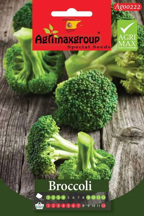 Agrimaxgroup Premium Broccoli Seeds (AG0222) – High-Yield Spanish Variety for Indoor and Outdoor Home Gardening, High-Performance Seasonal Sowing & Harvest, Non-GMO Euro Standard