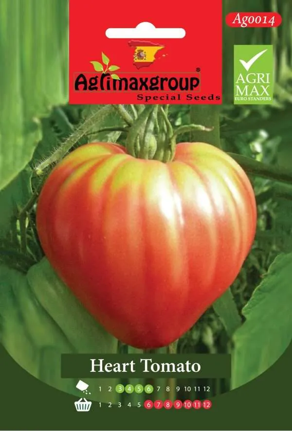 Agrimaxgroup Premium Beef Heart Tomato Seeds (AG0014) – High-Yield Spanish "Cuore di Bue" Variety for Indoor and Outdoor Home Gardening, Seasonal Sowing & Harvest, Non-GMO Euro Standard