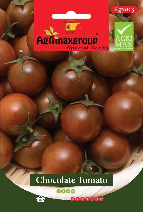 Agrimaxgroup Premium Chocolate Tomato Seeds (AG0015) – High-Yield Spanish Dark Cherry Variety for Indoor and Outdoor Home Gardening, Seasonal Sowing & Harvest, Non-GMO Euro Standard
