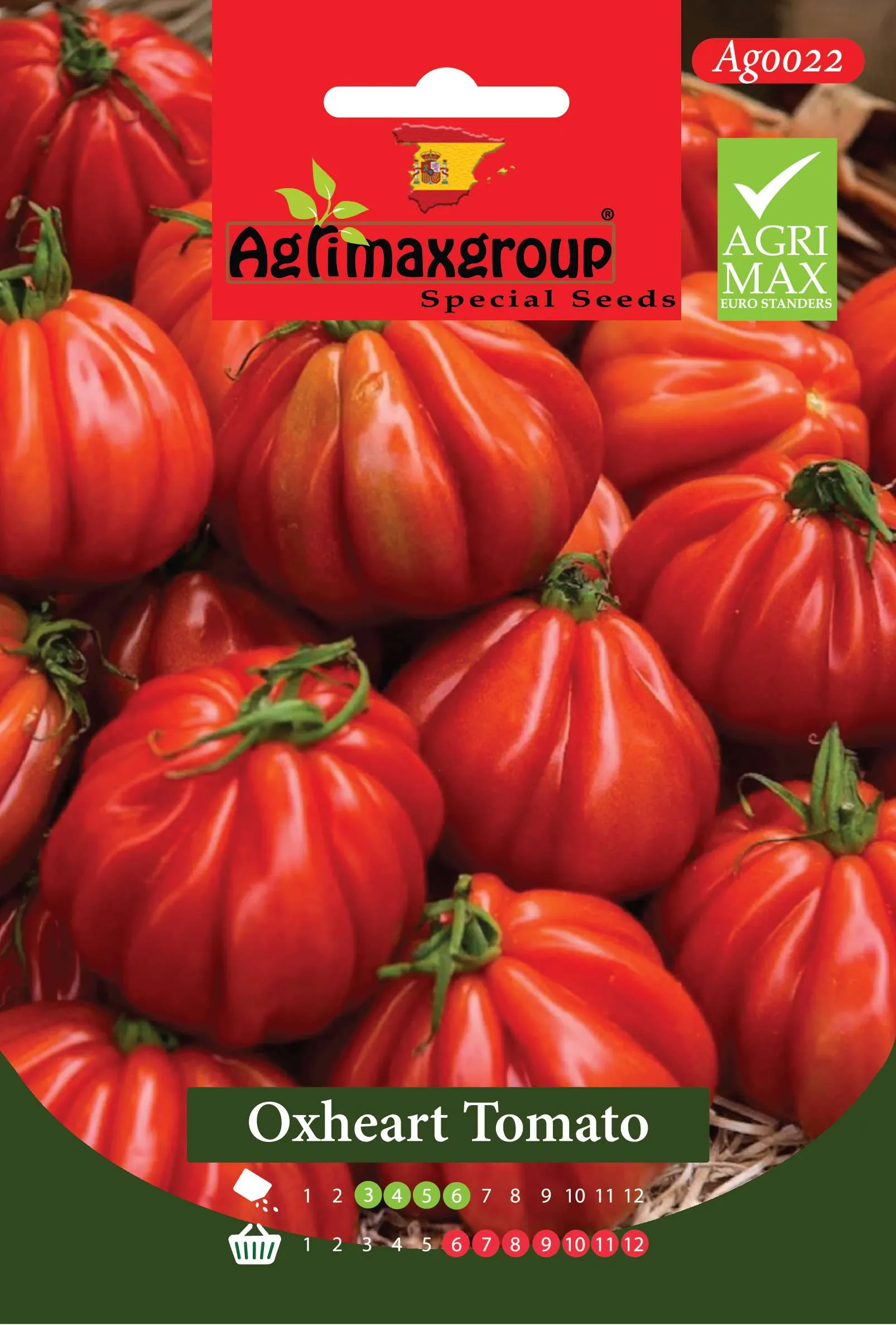 Agrimaxgroup Premium Oxheart Tomato Seeds (AG0022) – High-Yield Spanish Ribbed Tomato Variety for Indoor and Outdoor Home Gardening, Seasonal Sowing & Harvest, Non-GMO Euro Standard