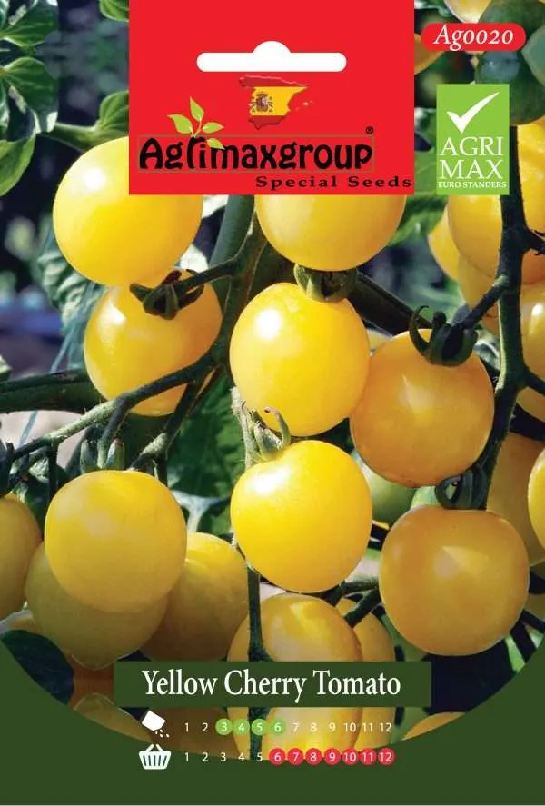 Agrimaxgroup Premium Yellow Cherry Tomato Seeds (AG0020) – High-Yield Spanish Golden Variety for Indoor and Outdoor Home Gardening, Seasonal Sowing & Harvest, Non-GMO Euro Standard