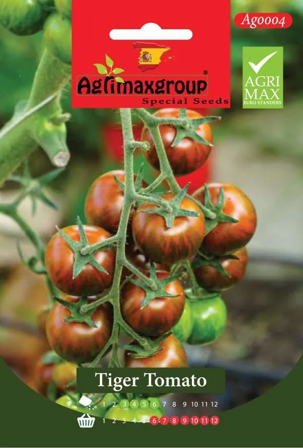 Agrimaxgroup Premium Tiger Tomato Seeds (AG0004) – High-Yield Spanish Striped Cherry Variety for Indoor and Outdoor Home Gardening, Seasonal Sowing & Harvest, Non-GMO Euro Standard