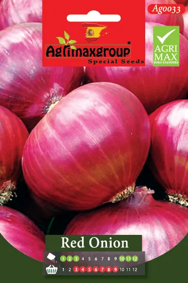 Agrimaxgroup Premium Red Onion Seeds (AG0033) – High-Yield Spanish Purple Variety for Indoor and Outdoor Home Gardening, Seasonal Sowing & Harvest, Non-GMO Euro Standard