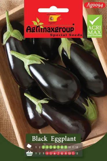 Agrimaxgroup Premium Black Eggplant Seeds (AG0094) – High-Yield Spanish Classic Oval Variety for Indoor and Outdoor Home Gardening, Seasonal Sowing & Harvest, Non-GMO Euro Standard