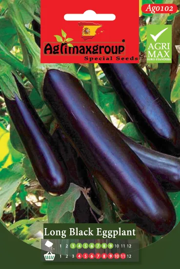 Agrimaxgroup Premium Long Black Eggplant Seeds (AG0102) – High-Yield Spanish Cylindrical Variety for Indoor and Outdoor Home Gardening, Seasonal Sowing & Harvest, Non-GMO Euro Standard