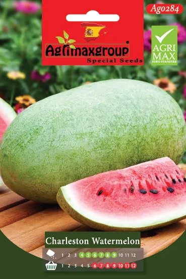 Agrimaxgroup Premium Charleston Watermelon Seeds (AG0284) – High-Yield Spanish Large Oblong Variety for Indoor and Outdoor Home Gardening, Seasonal Sowing & Harvest, Non-GMO Euro Standard