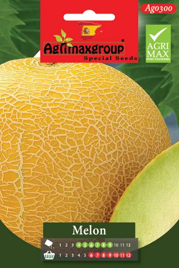 Agrimaxgroup Premium Sweet Melon Seeds (AG0300) – High-Yield Spanish Galia Variety for Indoor and Outdoor Home Gardening, Seasonal Sowing & Harvest, Non-GMO Euro Standard