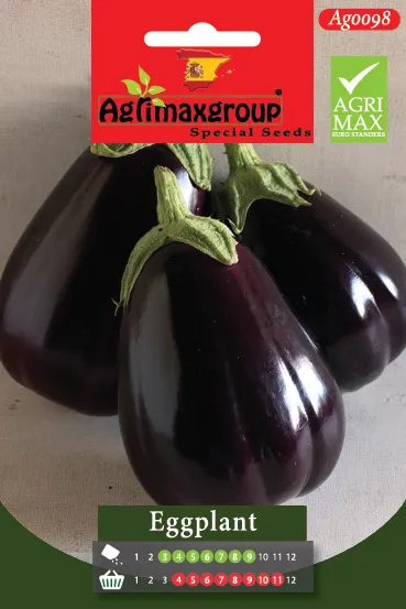 Agrimaxgroup Premium Black Eggplant Seeds (AG0098) – High-Yield Spanish Large Oval Variety for Indoor and Outdoor Home Gardening, Seasonal Sowing & Harvest, Non-GMO Euro Standard
