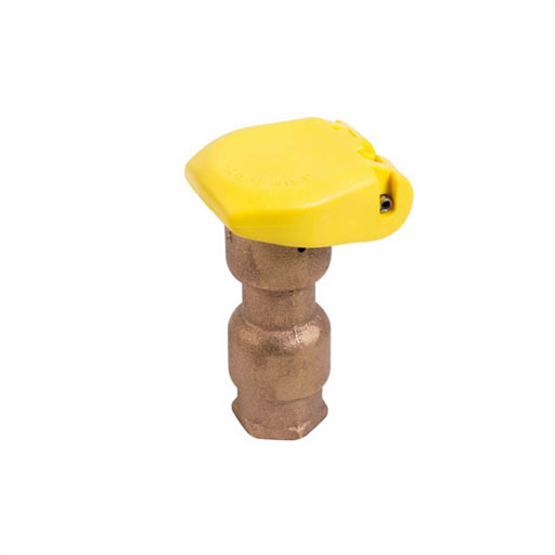 مفتاح صمام كبلر رين بيرد 55K-1 - سن خارجي 1 بوصة (NPT)