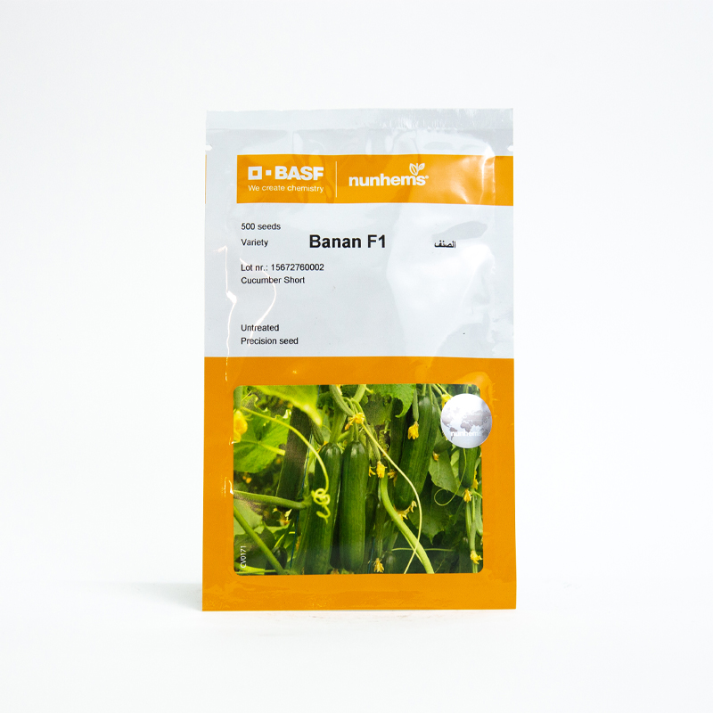 Nunhems Banan F1 Hybrid Short Cucumber Seeds (500 Seeds)