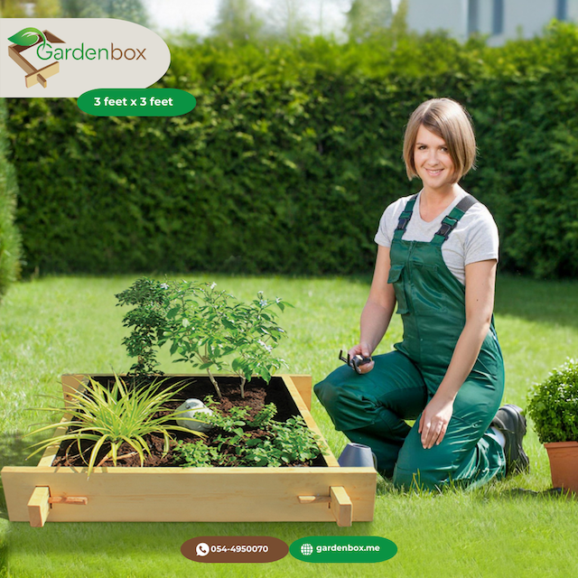 Explorer Raised gardenbed 3 Feet x 3 Feet x 23 Cm. White Wood Raised Garden Bed Outdoor, planter box for home gardening, starter kit to grow flowers, herbs, vegetables. Image