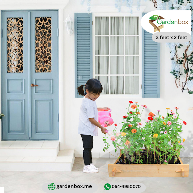 Explorer Greencorner raised gardenbed 3 feet x 2 feet x 23 cm. Ecofriendly wooden bed for growing vegetables, flowers, herbs, and root vegetables. Image