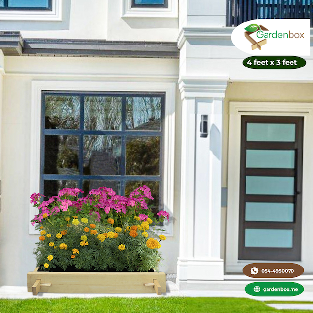 Rancher explorer raised gardenbed 4 feet x 3 feet x 23 Cm. Ecofriendly wooden bed for growing vegetables, flowers, herbs, and root vegetables. Image